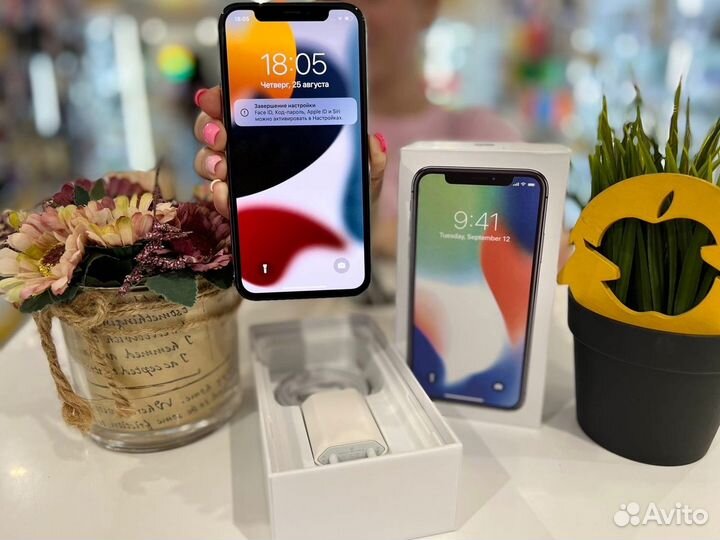 iPhone X, 256 ГБ