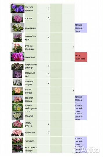 Детки сортовых фиалок