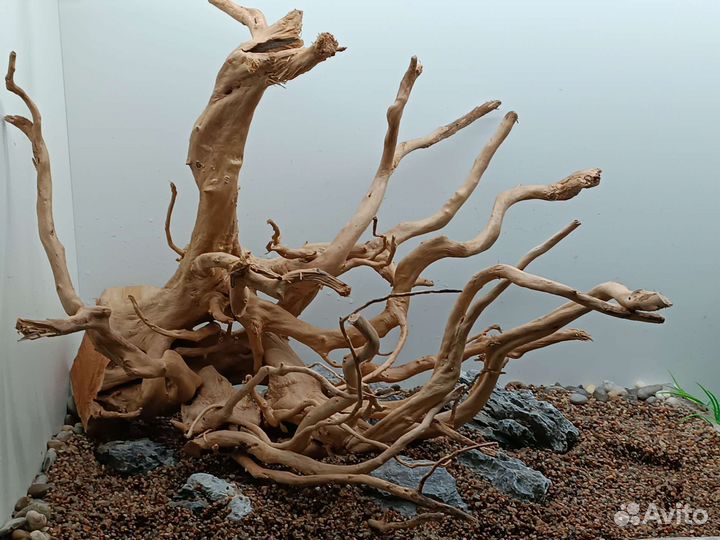 Натуральные Коряги. Декор для аквариума. Азалия