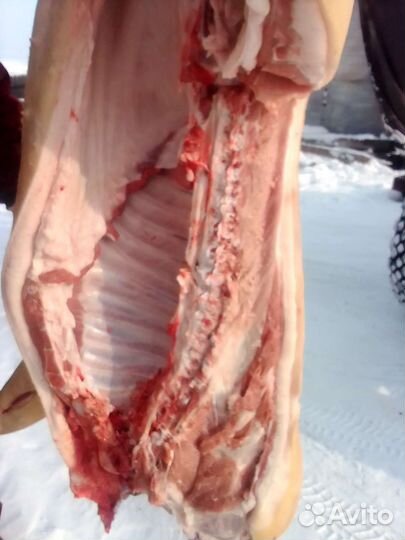 Продам мясо свинина домашняя