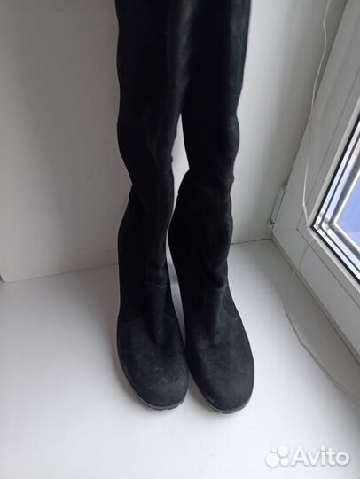 Сапоги studio pollini