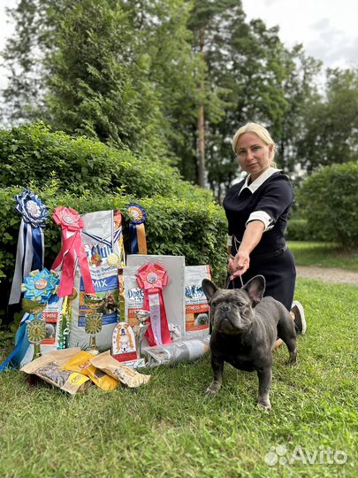 Оформление документов скор, обмен метрик