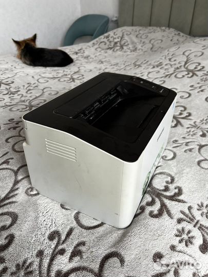 Принтер samsung xpress m2020