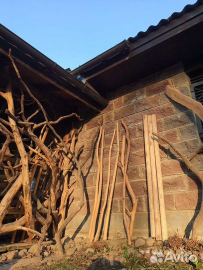 Стволы ветки веточки коряги коряжки палки корелиус