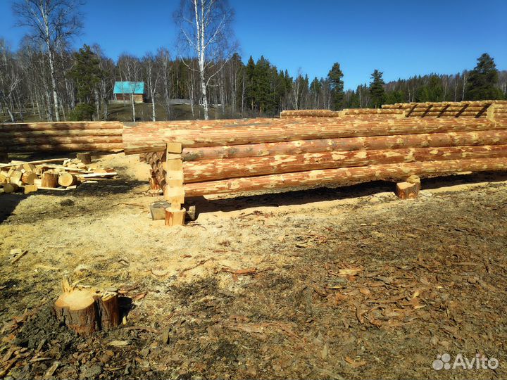 Качественный Сруб бани 7х7 зимний лес ручная рубка