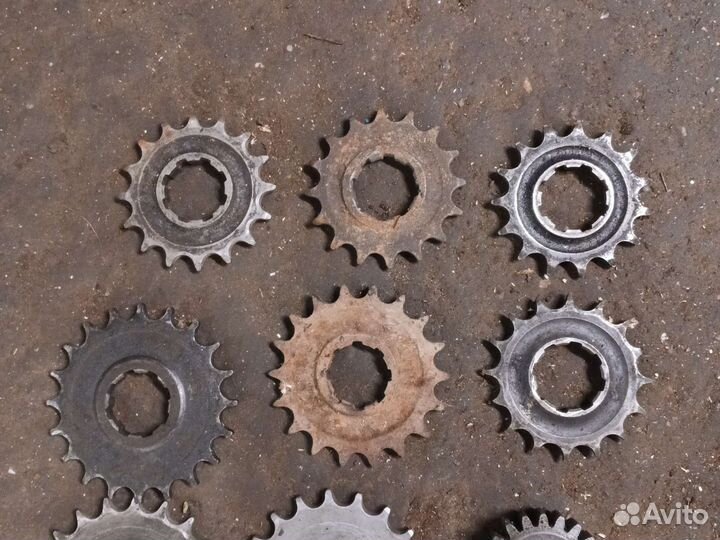 Ведущие звёзды Иж