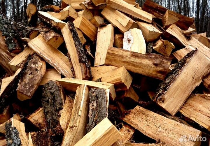 Дрова березовые