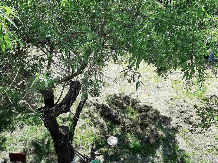 Дача 31 м² на участке 4,3 сот.