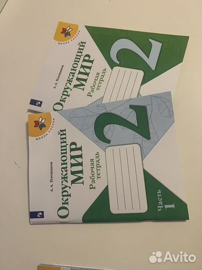 Рабочая тетрадь окружающий мир 2 класс