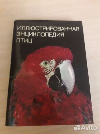 Энциклопедия