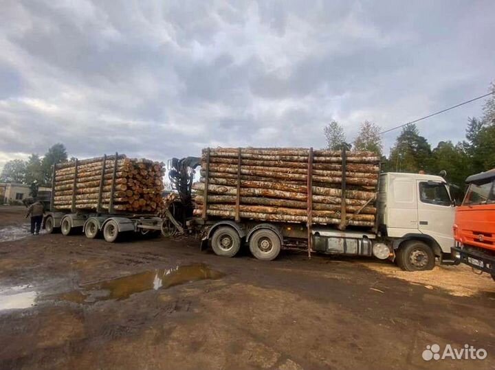 Дрова