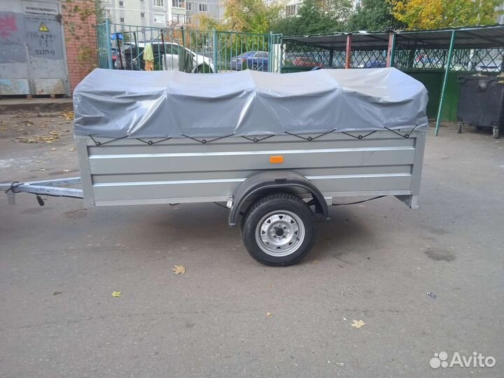 Перевозка животных и мелких грузов по России