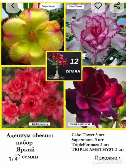 Адениум семена