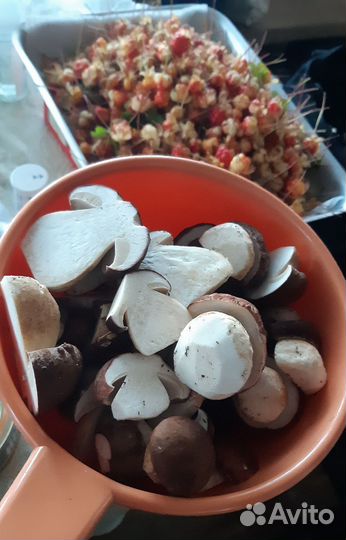 Морошка,черника, белые грибы