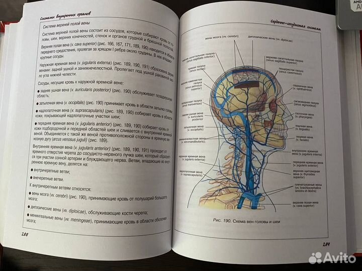 Продам атласы по анатомии