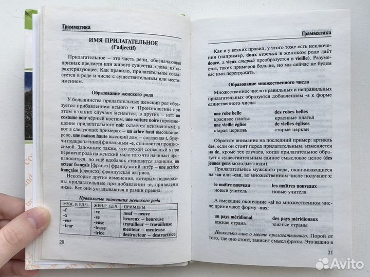 Французский язык Словарь Разговорник Учебник