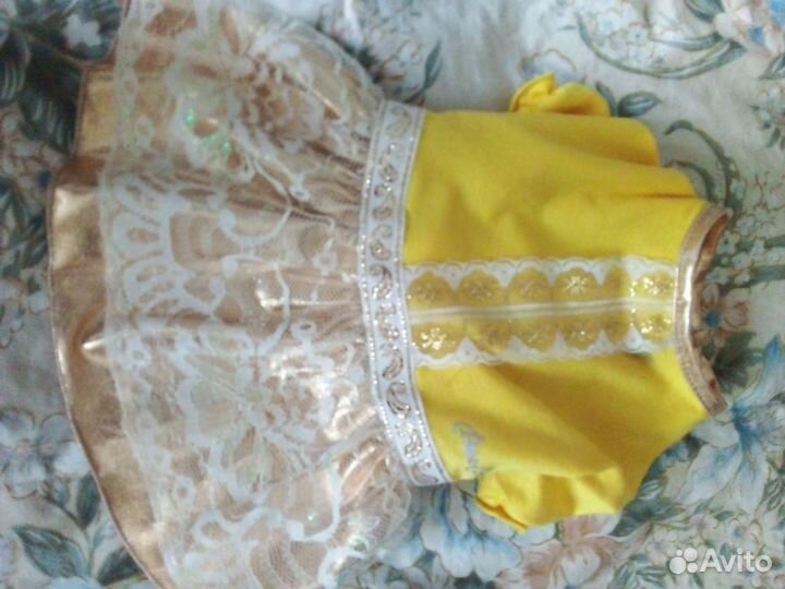 Одежда для собак