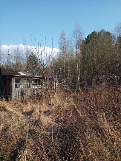 Участок 20 сот. (ИЖС)