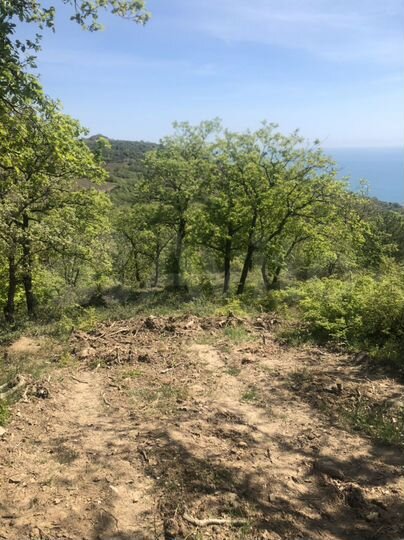 Участок 8 га (ИЖС)