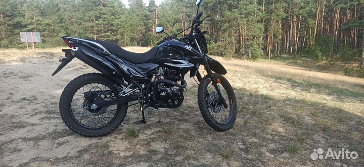 Зид 250