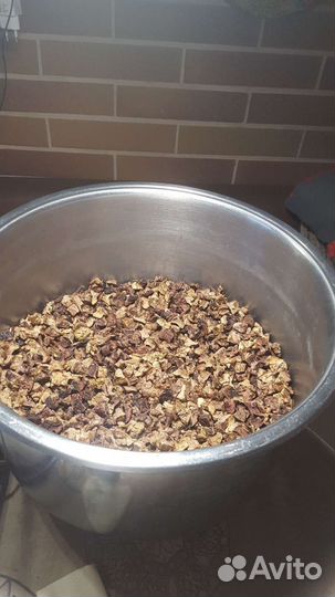 Сухое легкое