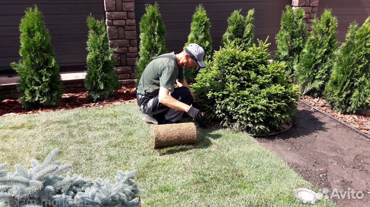Укладка рулонных газонов под ключ