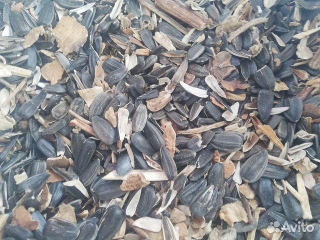 абс пластик оргтехника отходы. мусорные контейнеры на стройплощадке. газель с мусором. брак мусор. отходы подсолнечника в оренбургской.