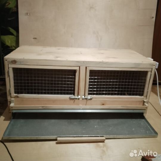 Брудер для цыплят