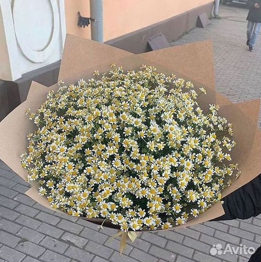Букеты. Доставка ромашек