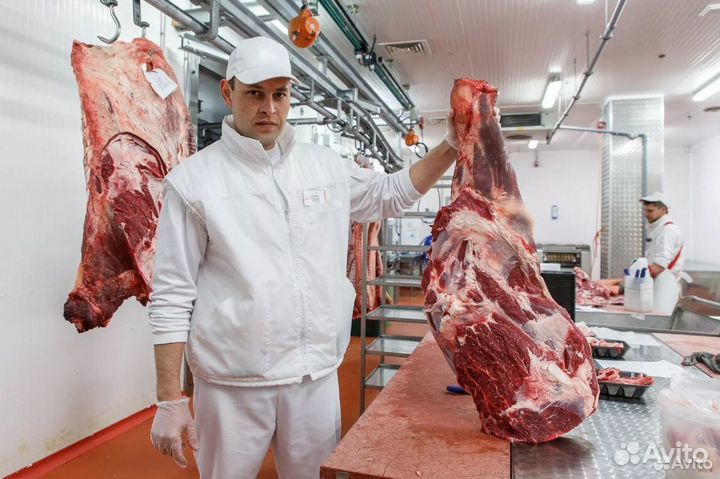 Готовый бизнес ищет займ, доход 26357 в месяц