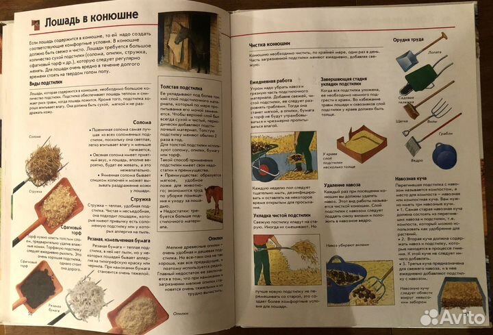 Лошади. Справочник по верховой езде