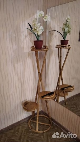 Цеточница интерьерная