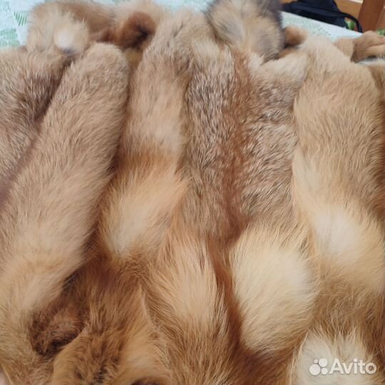 Лисья шкура