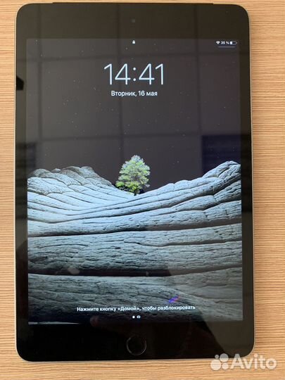 iPad mini 4 128gb cellular