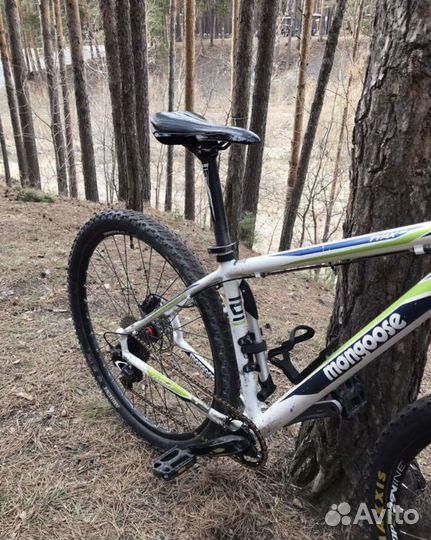 Mongoose tyax expert 29