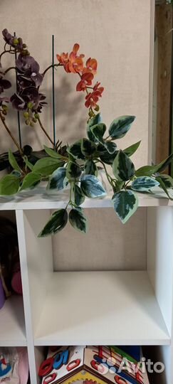 Искуственные растения