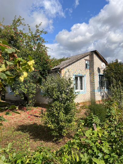 Дом 75 м² на участке 12 сот.