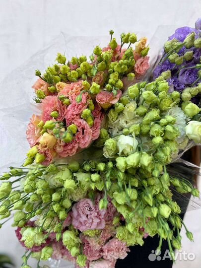 Эустома опт / розница