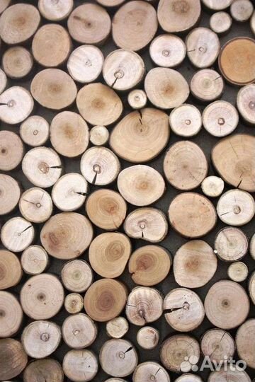 Спилы дерева