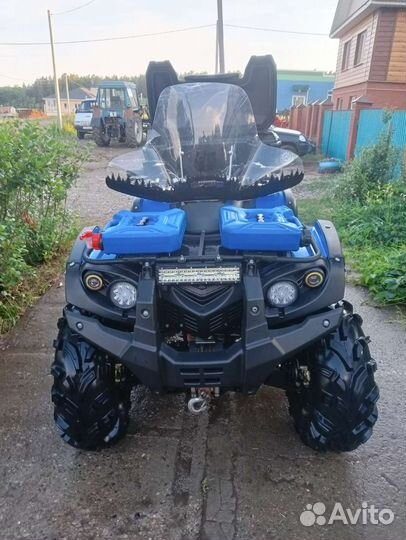 Стелс леопард