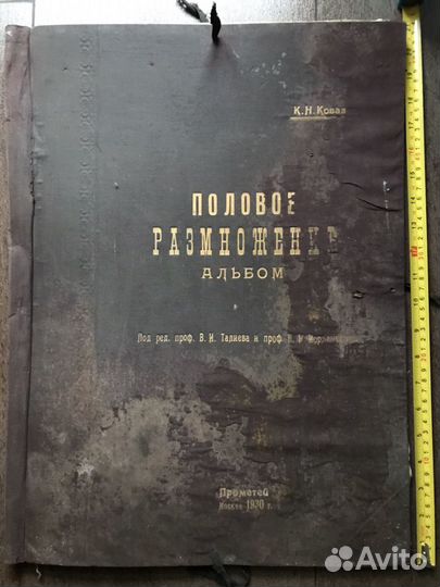 Альбом с постерами «Половое размножение» 1930 год