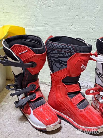 Мото боты 34