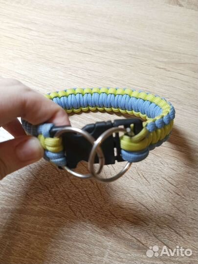Ошейник для собак из паракорда