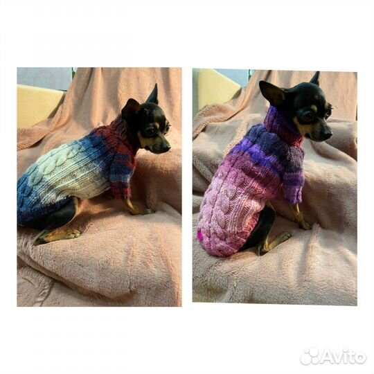 Свитер для собак мелких пород