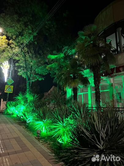 Доставка суши, роллы, пицца