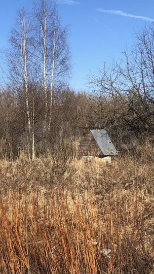 Участок 24 сот. (СНТ, ДНП)