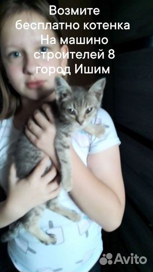 Машиностроителей 8