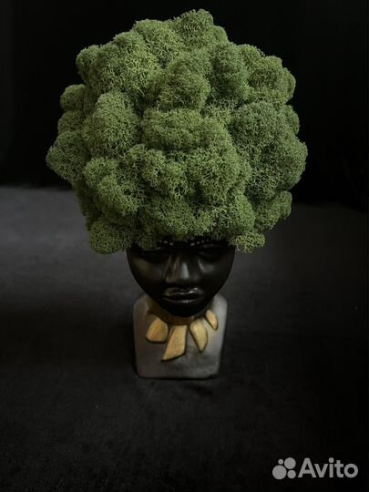 Кашпо из стабилизированного мха 