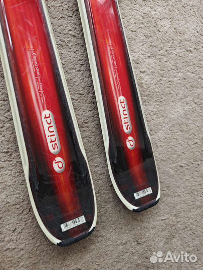 Горные лыжи