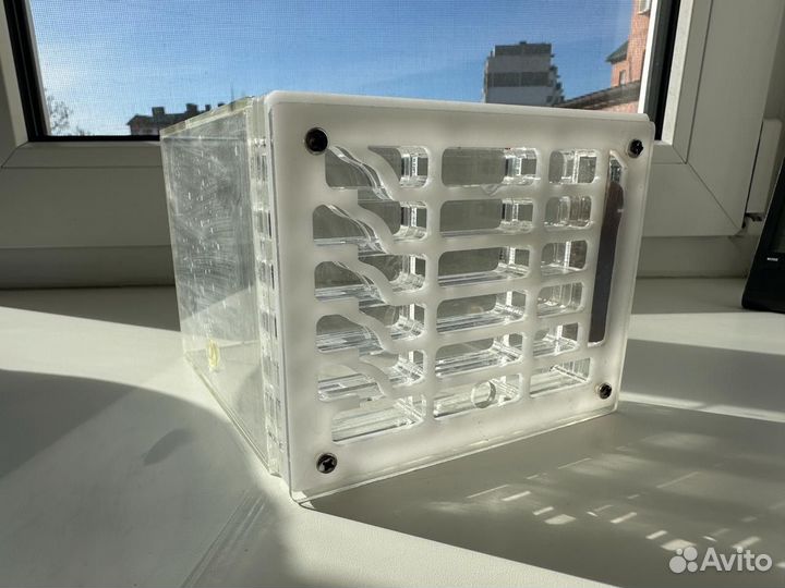 Муравьиная ферма